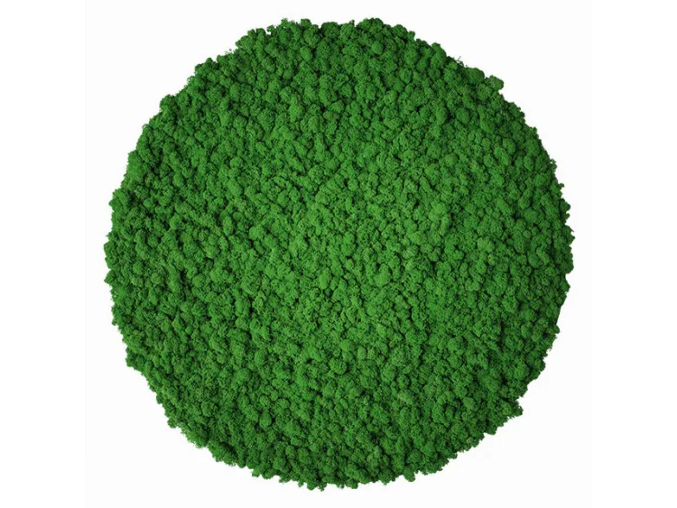 Panel z mchu chrobotka okrągły Moss Green