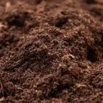 Ziemia ogrodnicza miniaturka