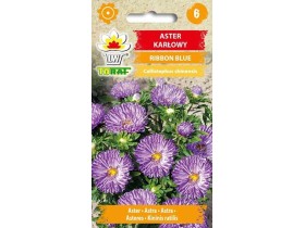 Nasiona Aster karłowy Ribbon Blue 0,5g