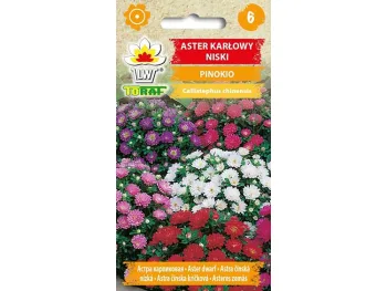 Nasiona Aster karłowy Pinokio mieszanka 0,5g