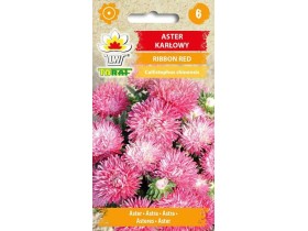 Nasiona Aster karłowy Ribbon Red 0,5g