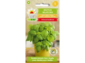 Nasiona Bazylia właściwa 1g