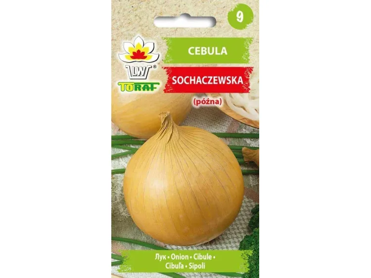 Nasiona Cebula Sochaczewska 5g