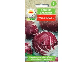 Nasiona Cykoria sałatowa Palla Rosa 3 5g