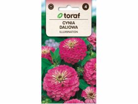 Nasiona Cynia daliowa ILLUMINATION 1g