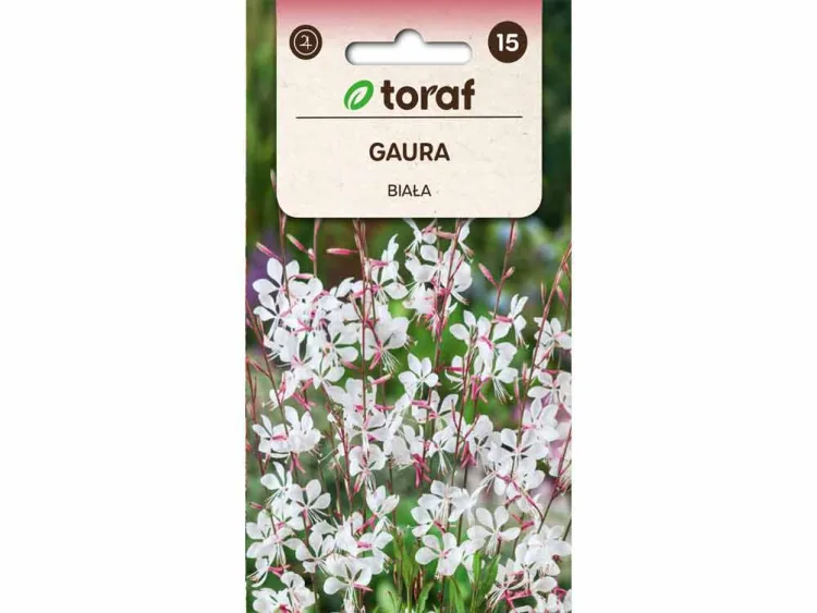 Nasiona Gaura biała 0,5g