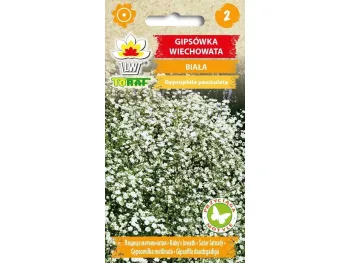 Nasiona Gipsówka wiechowata biała 0,5g
