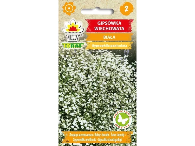 Nasiona Gipsówka wiechowata biała 0,5g