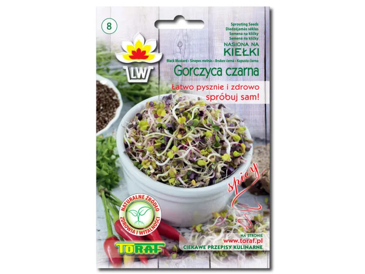 Kiełki Gorczyca Czarna 20g