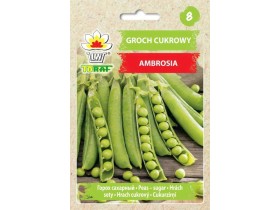 Nasiona Groch Ambrosia 50g