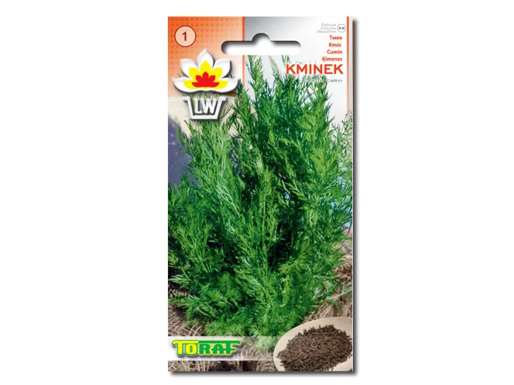 Nasiona Kminek 1g