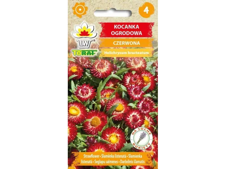 Nasiona Kocanka ogrodowa czerwona 0,5g