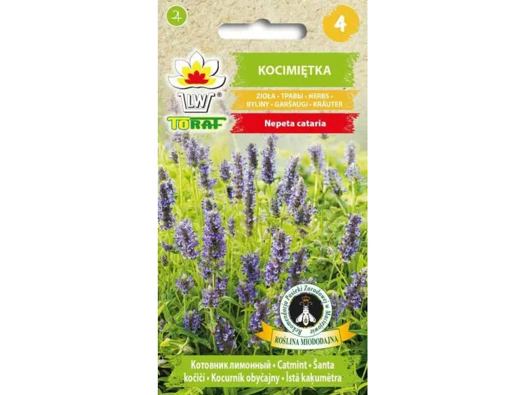 Nasiona Kocimiętka 0,4g