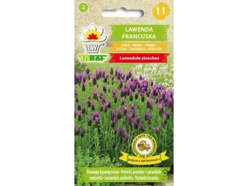 Nasiona Lawenda francuska 0,1g