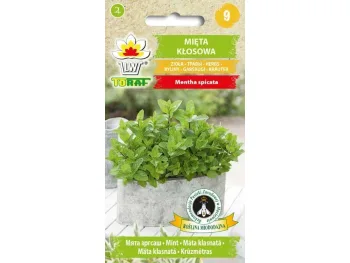 Nasiona Mięta kłosowa (zielona) 0,1g