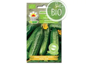 Nasiona Ogórek Marketmore 2g BIO