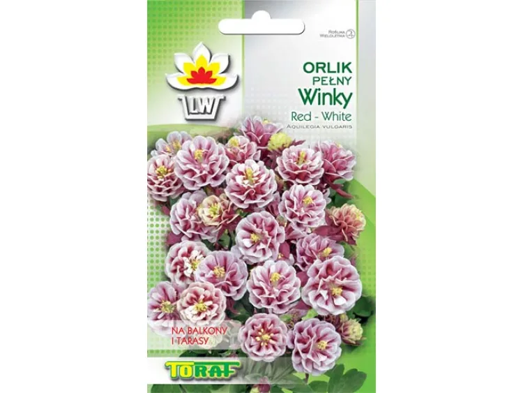 Nasiona Orlik Ogrodowy Winky Red-White 0,1g