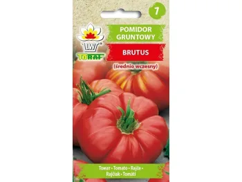 Nasiona Pomidor Brutus 0,5g