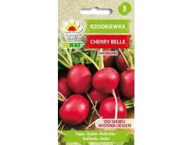 Nasiona Rzodkiewka Cherry Belle 10g