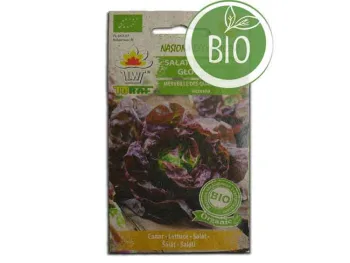 Nasiona Sałata Marveille 4 1g BIO