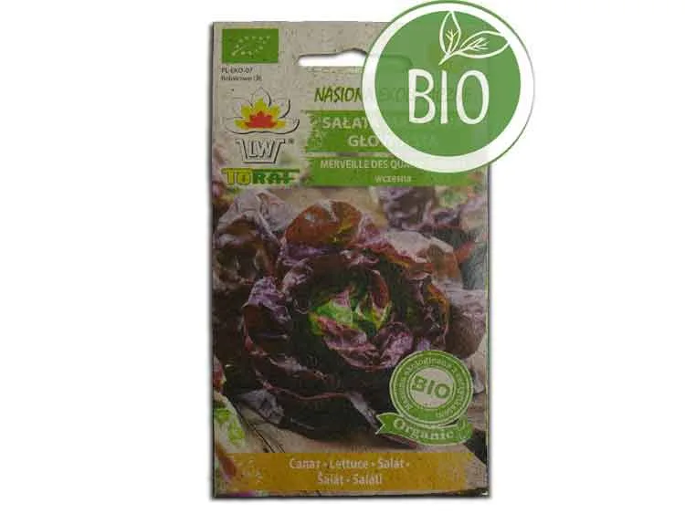 Nasiona Sałata Marveille 4 1g BIO