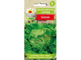 Nasiona Sałata krucha lodowa Tarzan 1g