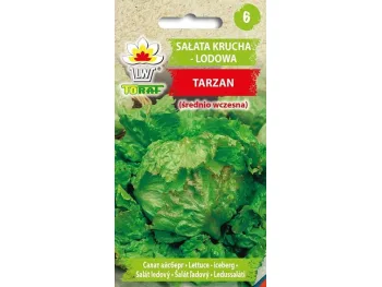 Nasiona Sałata krucha lodowa Tarzan 1g
