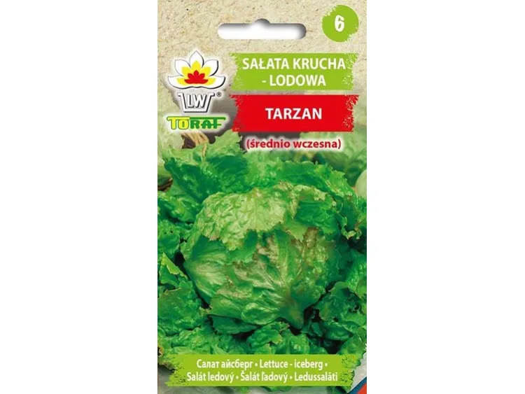 Nasiona Sałata krucha lodowa Tarzan 1g