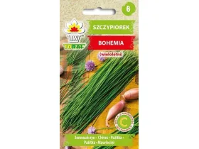 Nasiona Szczypiorek Bohemia 2g