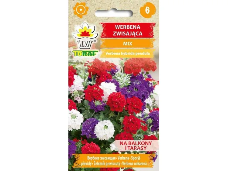 Nasiona Werbena Zwisająca mieszanka 0,3g