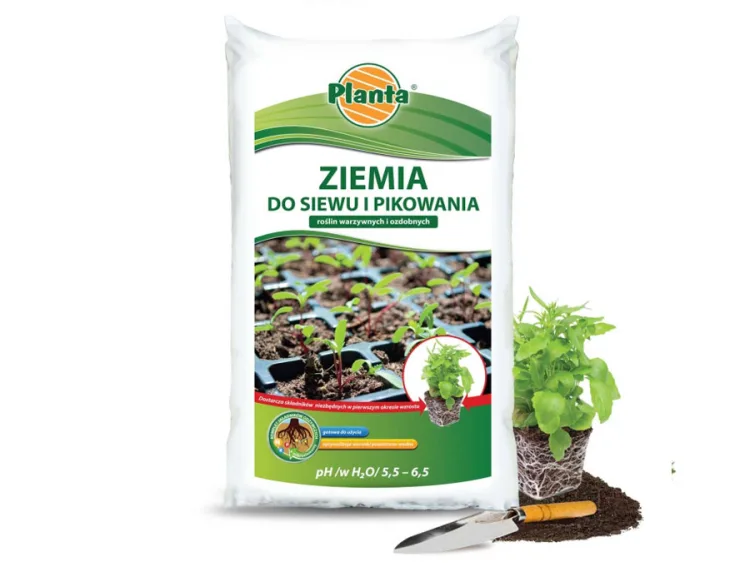 Ziemia do siewu i pikowania