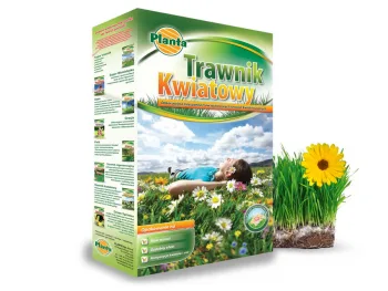 Trawnik KWIATOWY 0,5kg - efekt łąki kwiatowej