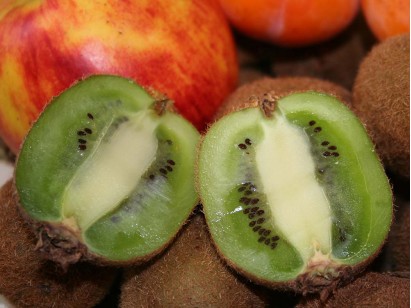 Aktinidia smakowita Solissimo® Renact