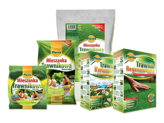 najlepsze mieszanki traw