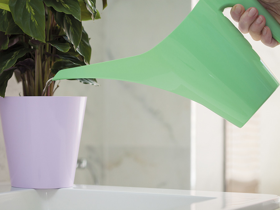 Konewka ARUBA 1,2L Melon