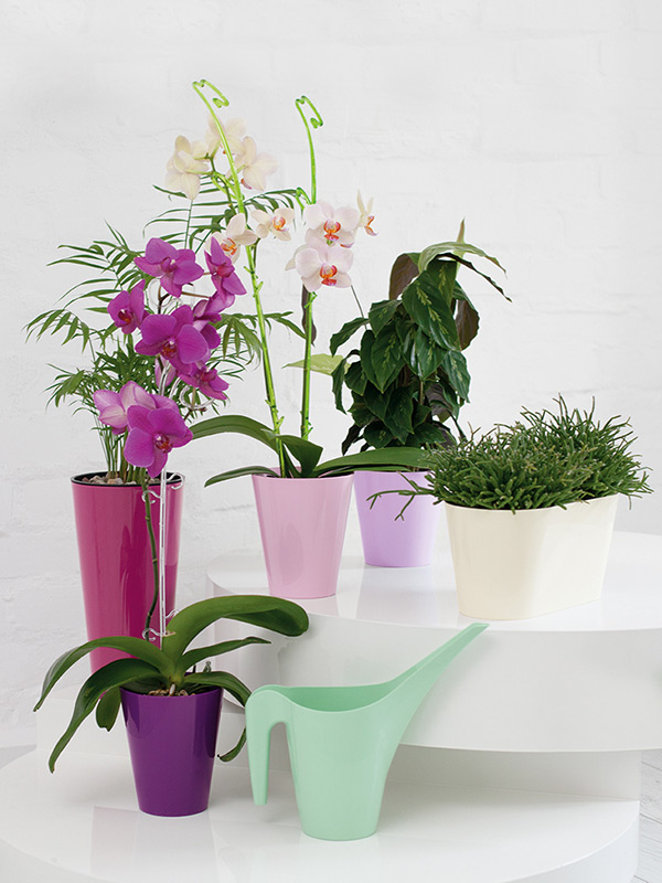 Osłonka do storczyków VULCANO Mięta