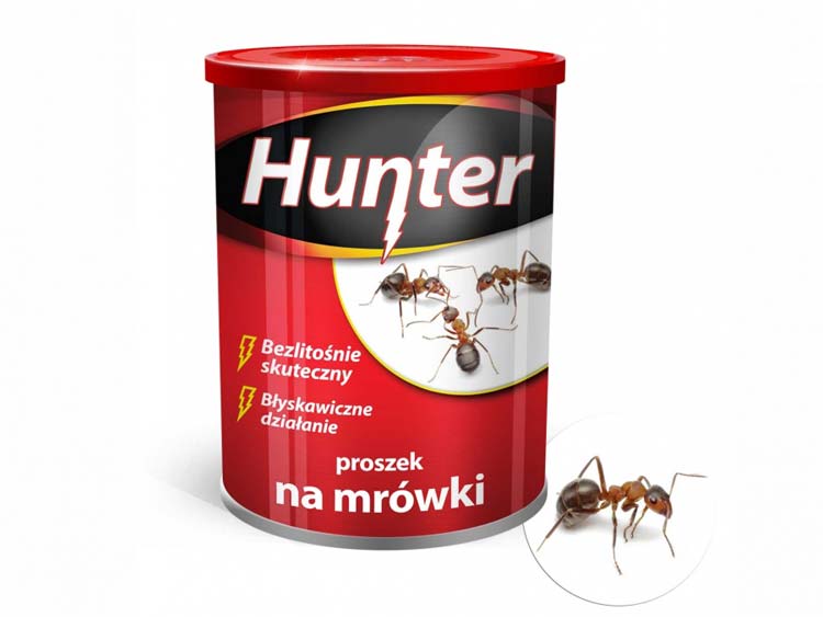 Proszek na mrówki 100g