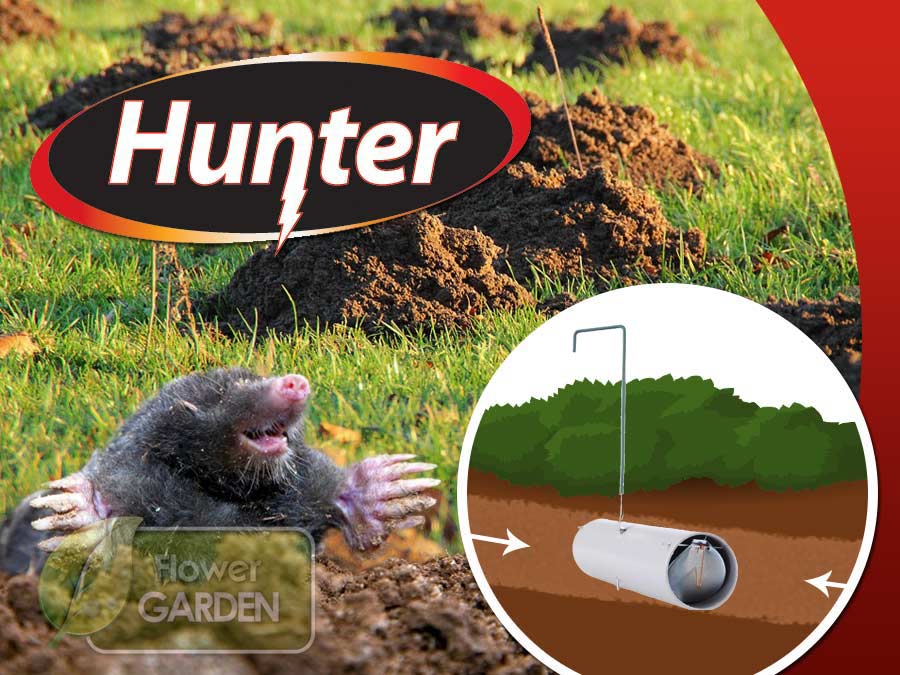 Kretołap z sygnalizatorem Hunter