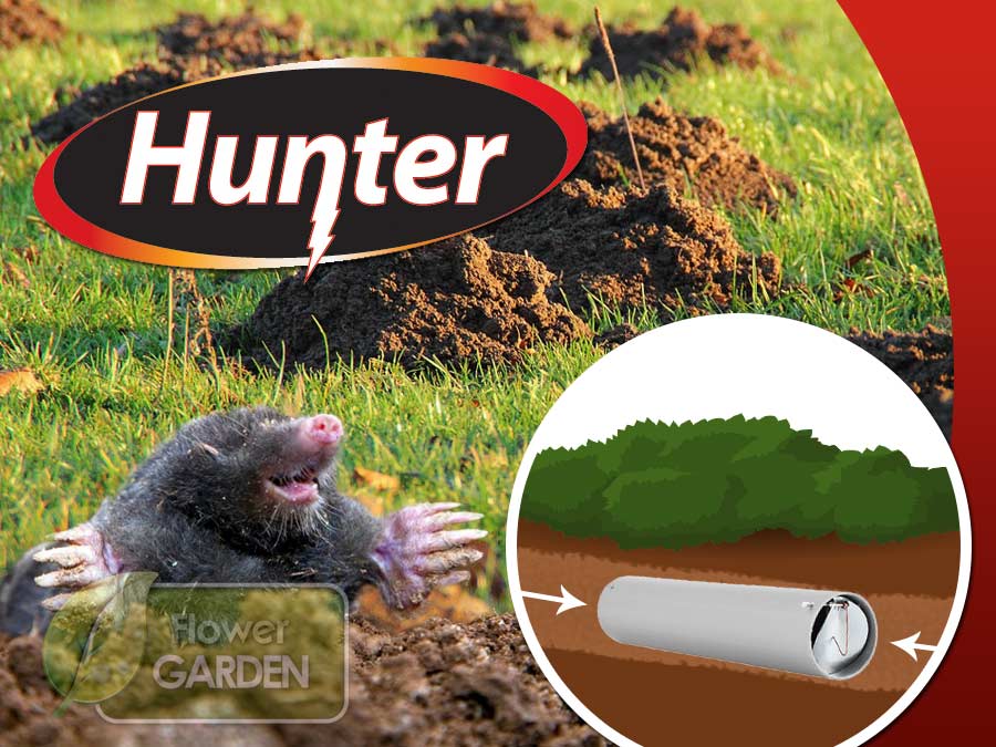 Kretołap Hunter 71204