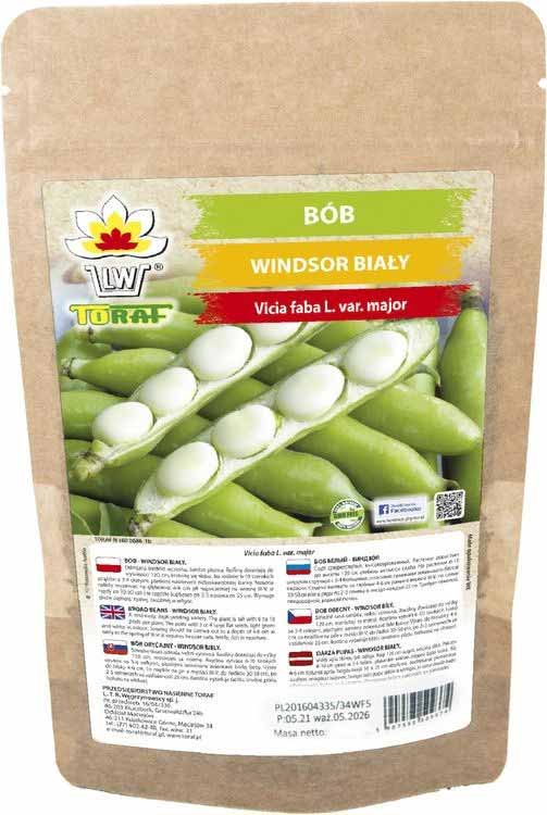 Nasiona Bób Windsor Biały 50g