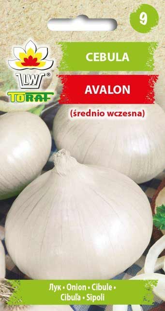 Nasiona Cebula Avalon 3g