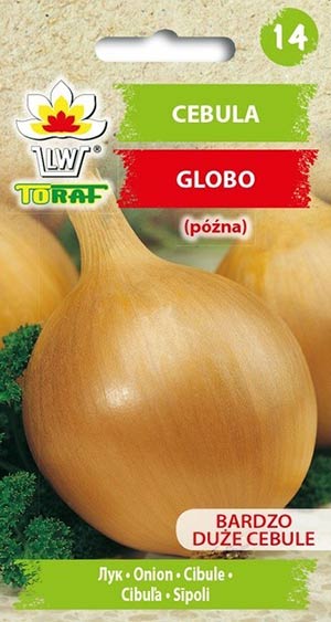Nasiona Cebula Globo 2g