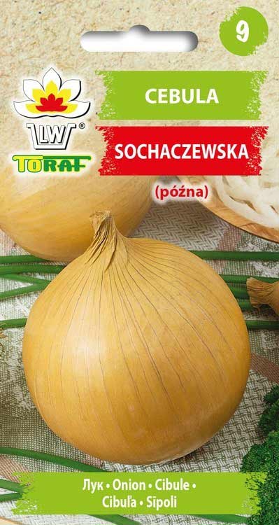 Nasiona Cebula Sochaczewska 5g