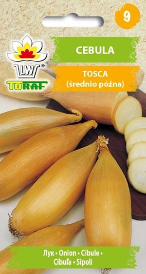 Nasiona Cebula TOSCA 2g