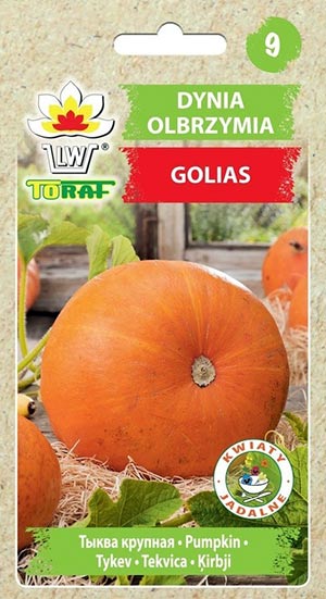 Nasiona Dynia Golias 3g
