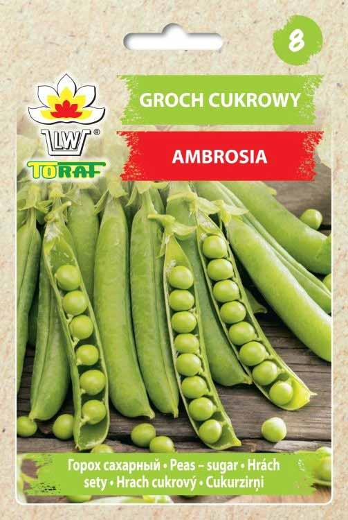 Nasiona Groch Ambrosia 50g