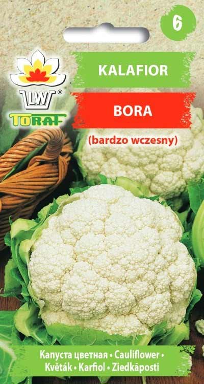 Nasiona Kalafior Bora 1g