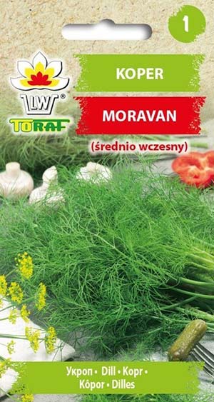 Nasiona Koper ogrodowy Moravan 5g