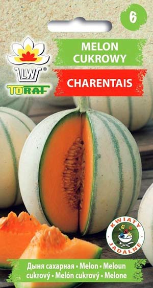 Nasiona Melon cukrowy Charentaise 3g