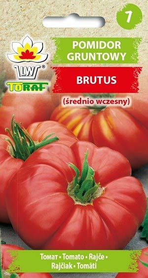 Nasiona Pomidor Brutus 0,5g